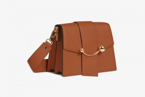 Brown Strathberry Box Crescent Crossbody Bag | UK ZEKN-65082