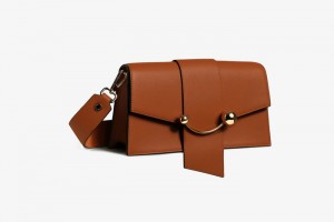 Brown Strathberry Mini Crescent Shoulder Bag | UK PGFH-97561