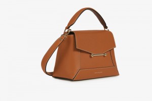 Brown Strathberry Mosaic With Stitch Mini Bag | UK PRAN-42057