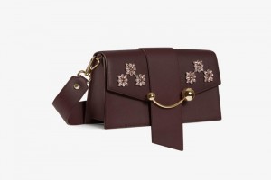 Burgundy Strathberry Crescent Floral Beading Embroidery Mini Bag | UK RFTC-30251