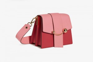 Red Pink Strathberry Box Crescent Crossbody Bag | UK RDSU-23549