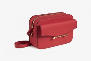 Red Strathberry Mosaic Camera With Stitch Crossbody Bag | UK TDLO-36817