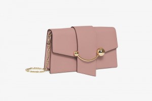 Rose Strathberry Crescent On A Chain Mini Bag | UK XMHD-41296